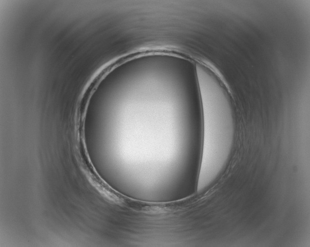 X0000079321124200611170923