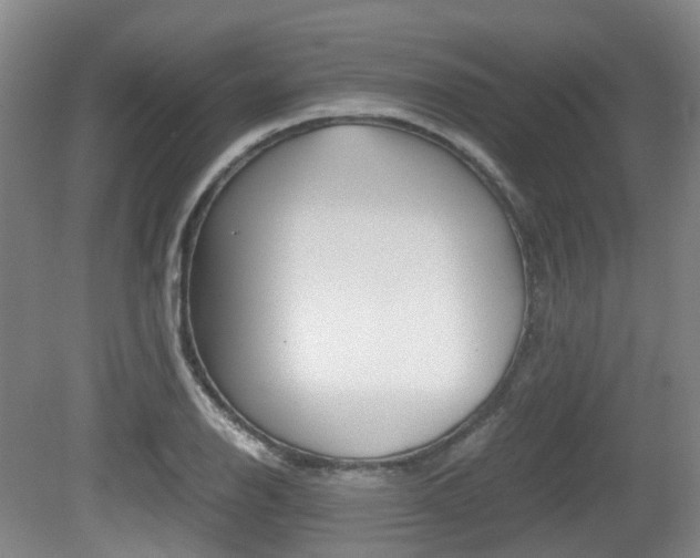 X0000079321126200611170923