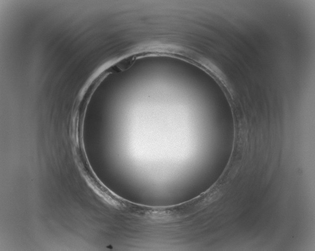 X0000079321128200611170923