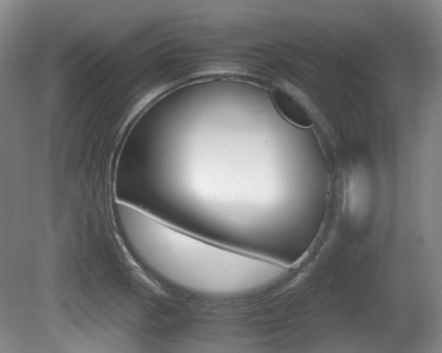 X0000079321129200611170923