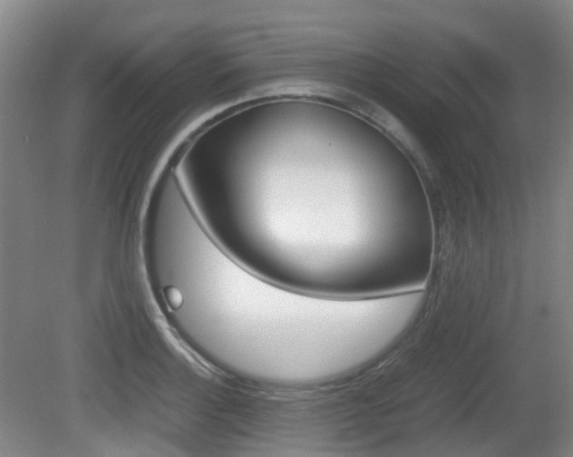 X0000079321132200611170923