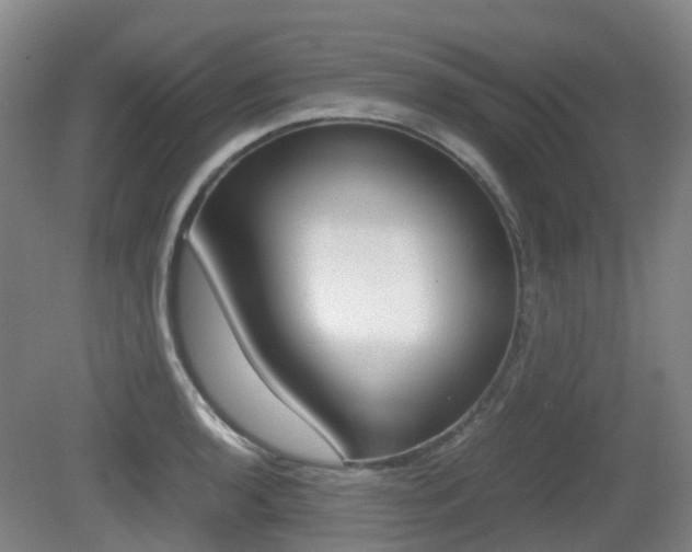 X0000079321136200611170924
