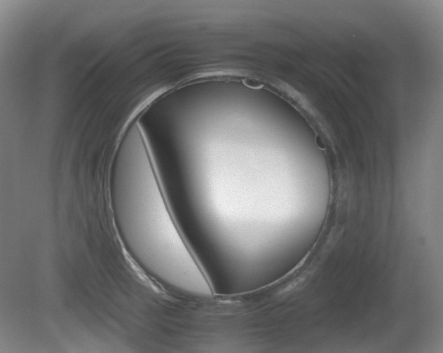 X0000079321137200611170924