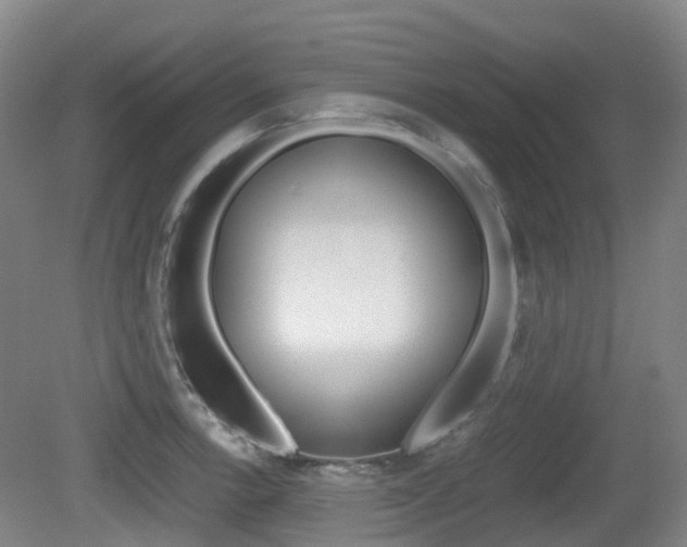 X0000079321138200611170924