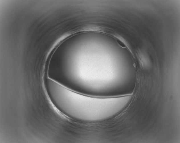 X0000079321139200611170924