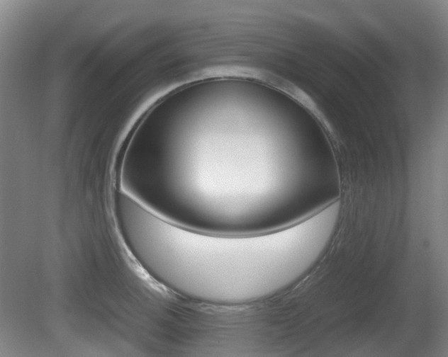 X0000079321140200611170924