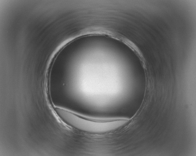 X0000079321144200611170924