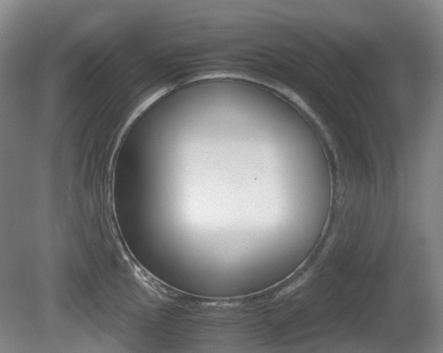X0000079321145200611170924