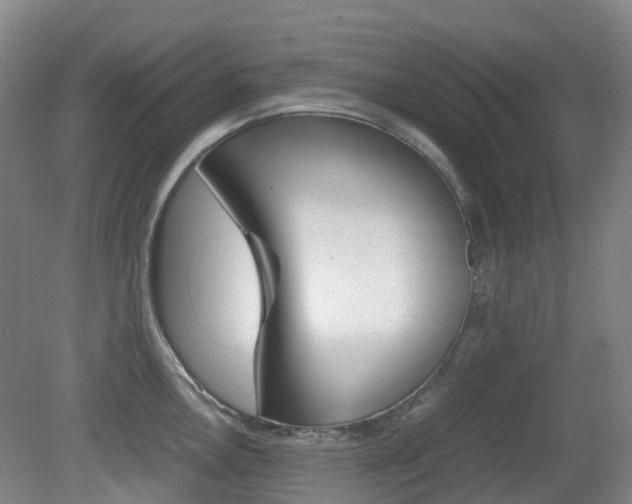 X0000079321146200611170924
