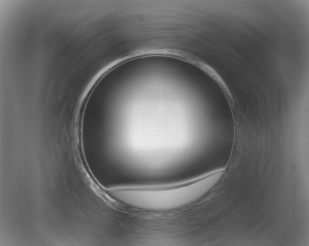 X0000079321148200611170924