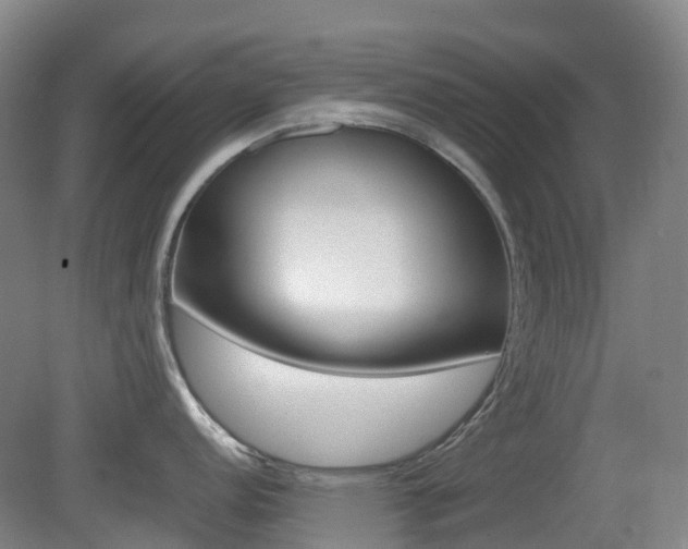 X0000079321152200611170924