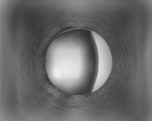 X0000079321153200611170923