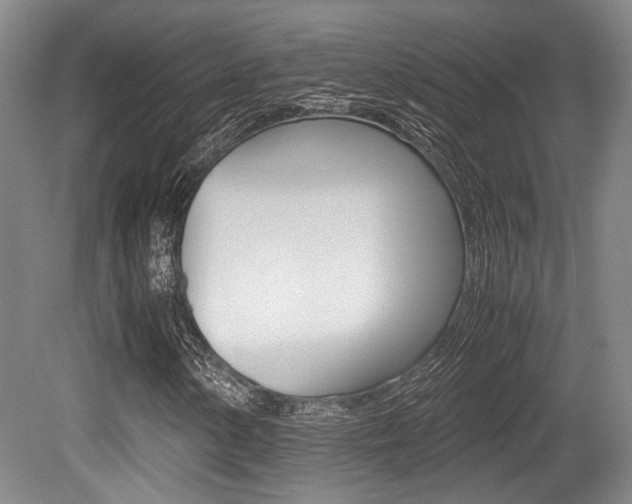X0000079321154200611170923
