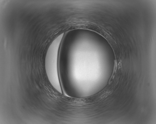 X0000079321156200611170923