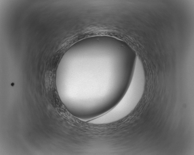 X0000079321157200611170923