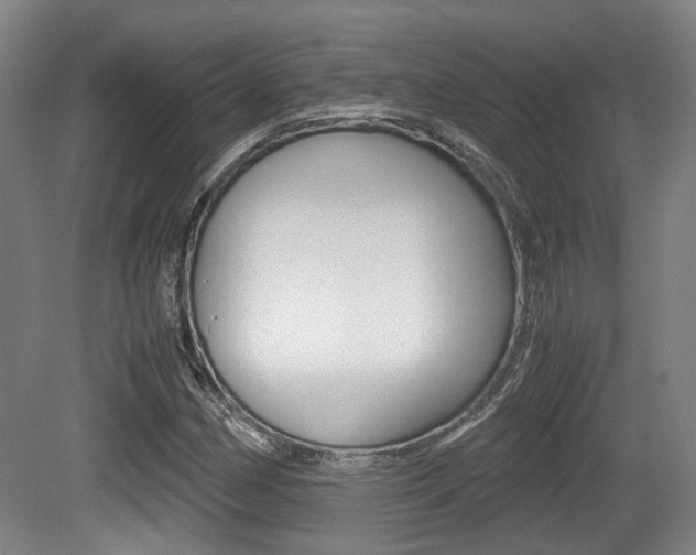 X0000079321162200611170923