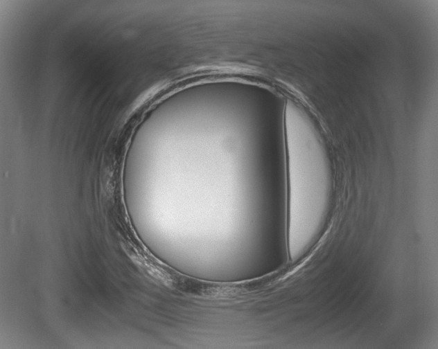 X0000079321163200611170923