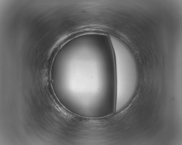 X0000079321164200611170923