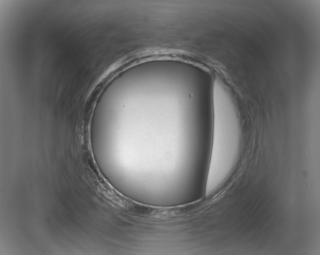 X0000079321165200611170923