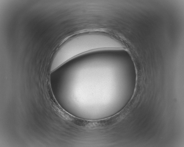 X0000079321169200611170923