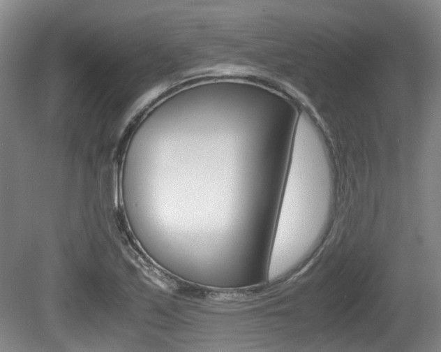 X0000079321171200611170923