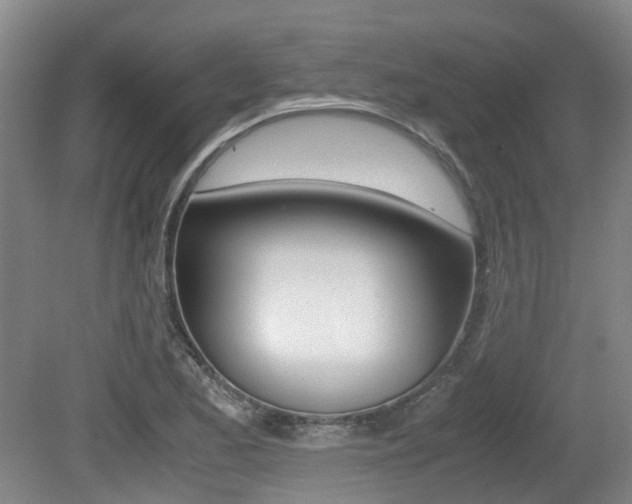 X0000079321173200611170923