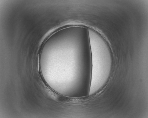X0000079321175200611170923