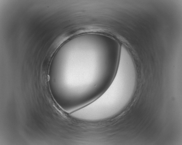 X0000079321177200611170923