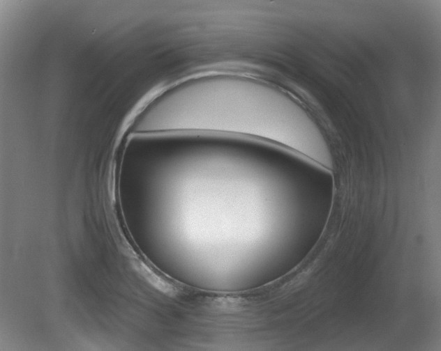 X0000079321180200611170923