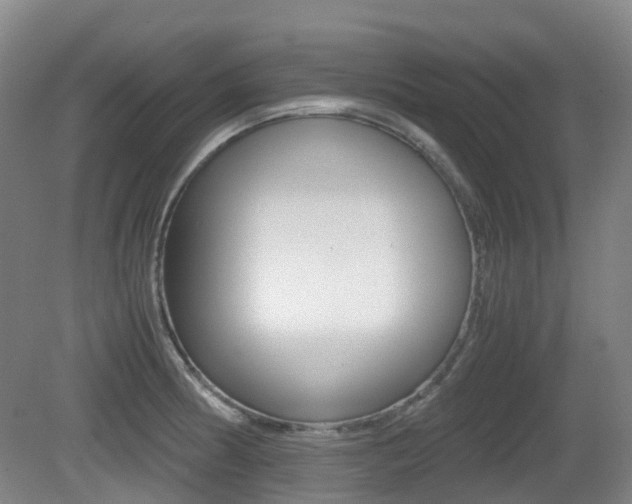 X0000079321186200611170922