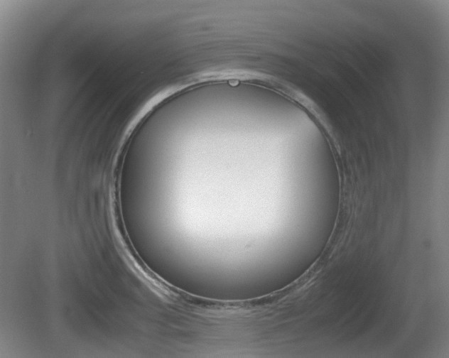 X0000079321187200611170922