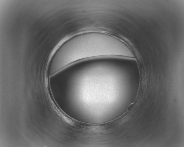 X0000079321188200611170922