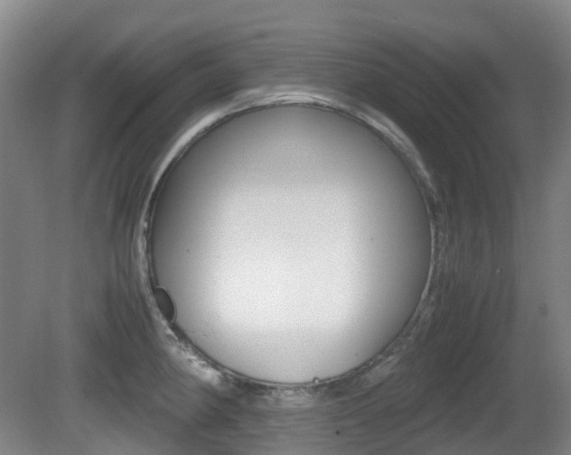 X0000079321190200611170922