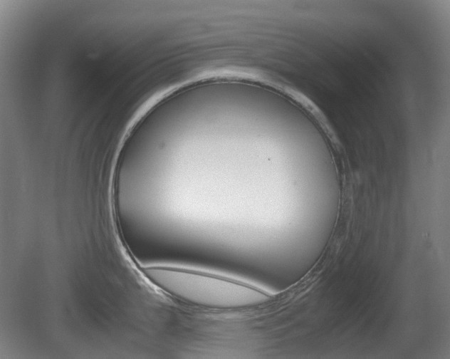 X0000079321199200611170922