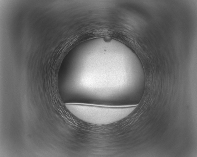 X0000079321201200611170921