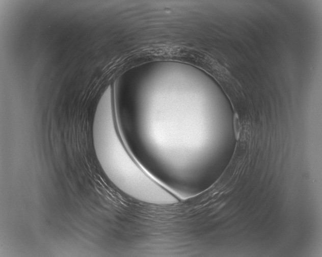 X0000079321202200611170921
