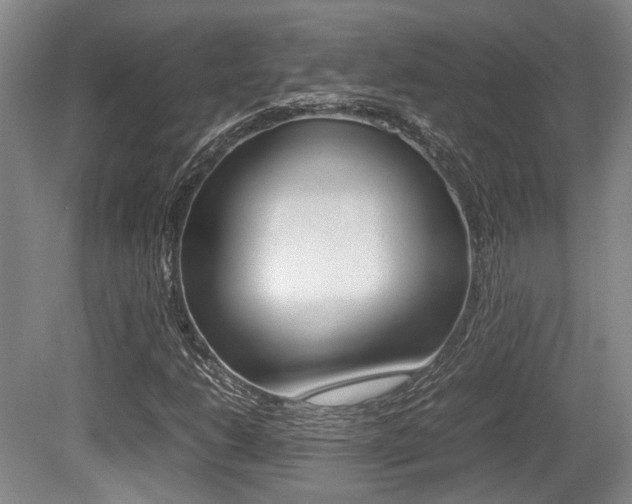 X0000079321206200611170921