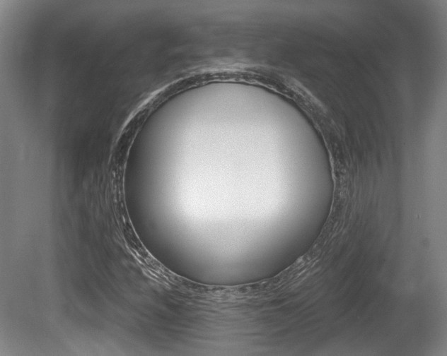 X0000079321208200611170922