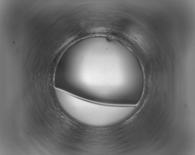 X0000079321209200611170922