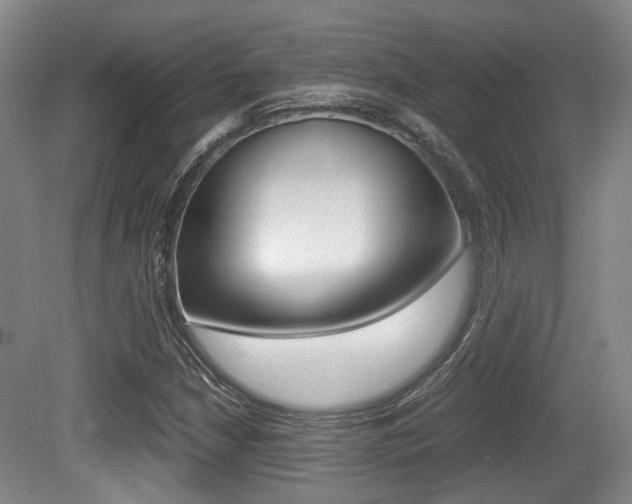 X0000079321210200611170922
