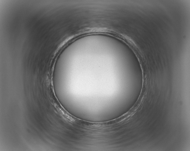 X0000079321212200611170922