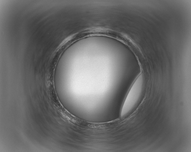 X0000079321213200611170922