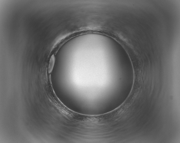 X0000079321214200611170922