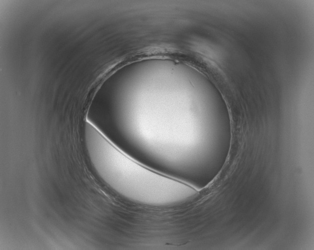 X0000079321217200611170922