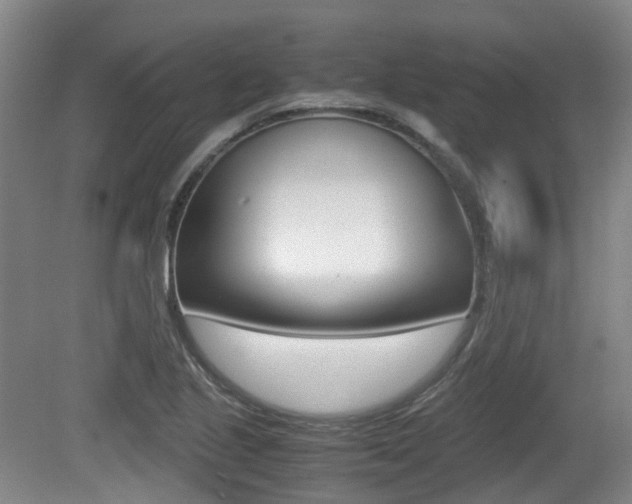 X0000079321221200611170922