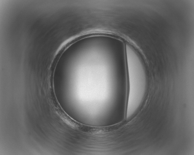 X0000079321222200611170922