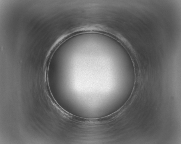 X0000079321224200611170922