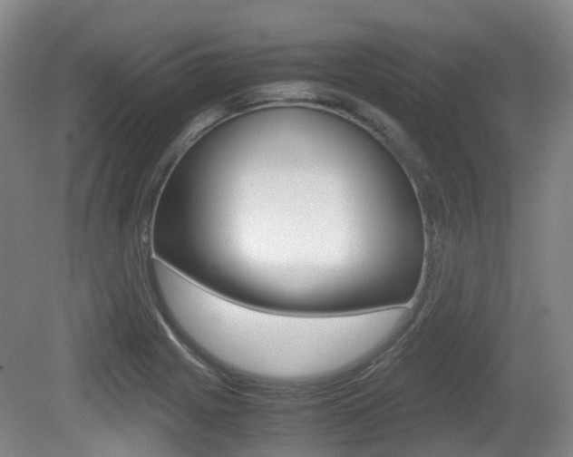 X0000079321225200611170922