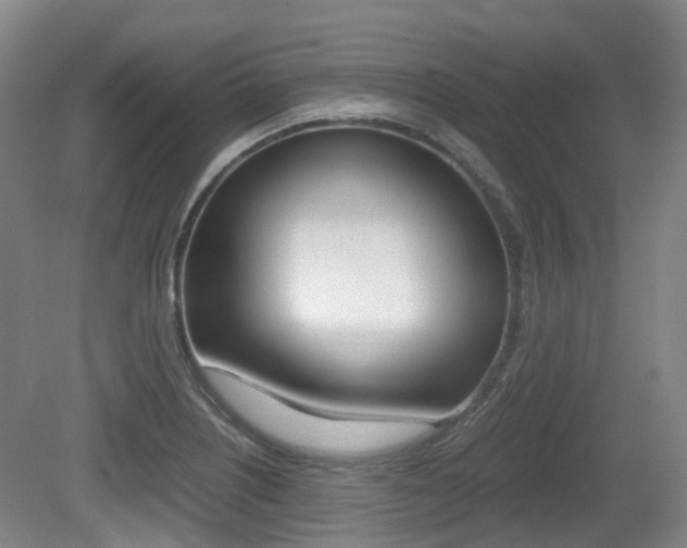 X0000079321226200611170922