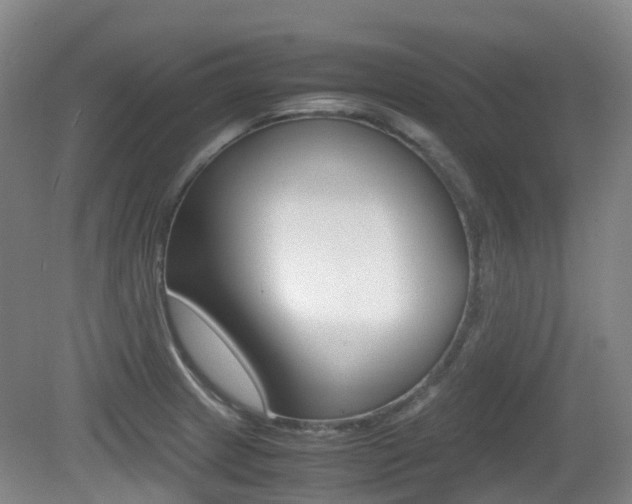 X0000079321233200611170922